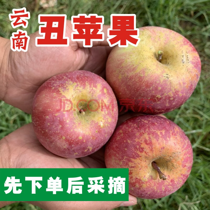 云南冰糖心苹果昭通丑苹果当季新鲜水果10斤 10斤 60mm(含)-65mm(不含