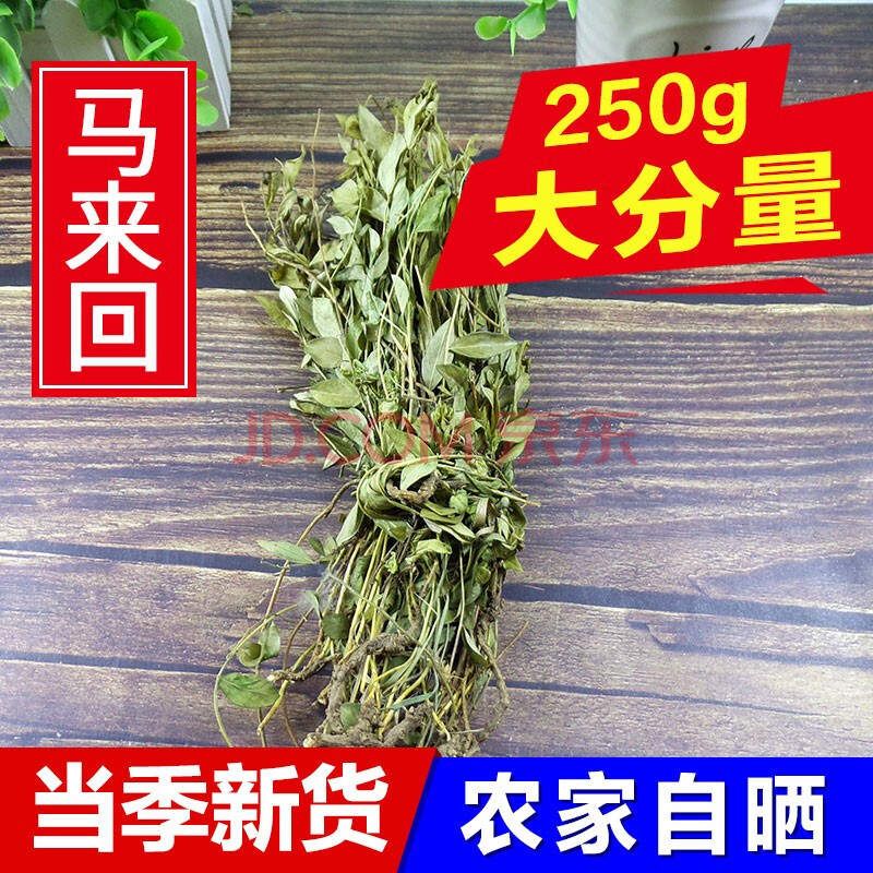 来马回 瓜子金草干品勒马回辰砂草二月花惊风草野中草药 马来回 250g