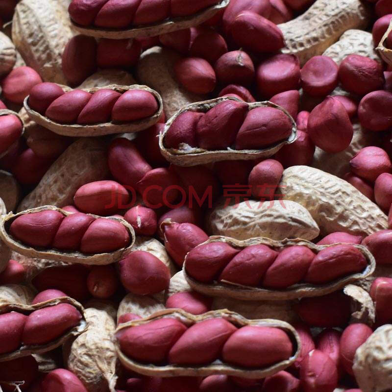 5折 红皮小粒带壳四粒红生花生多籽可做种子薄皮高产5