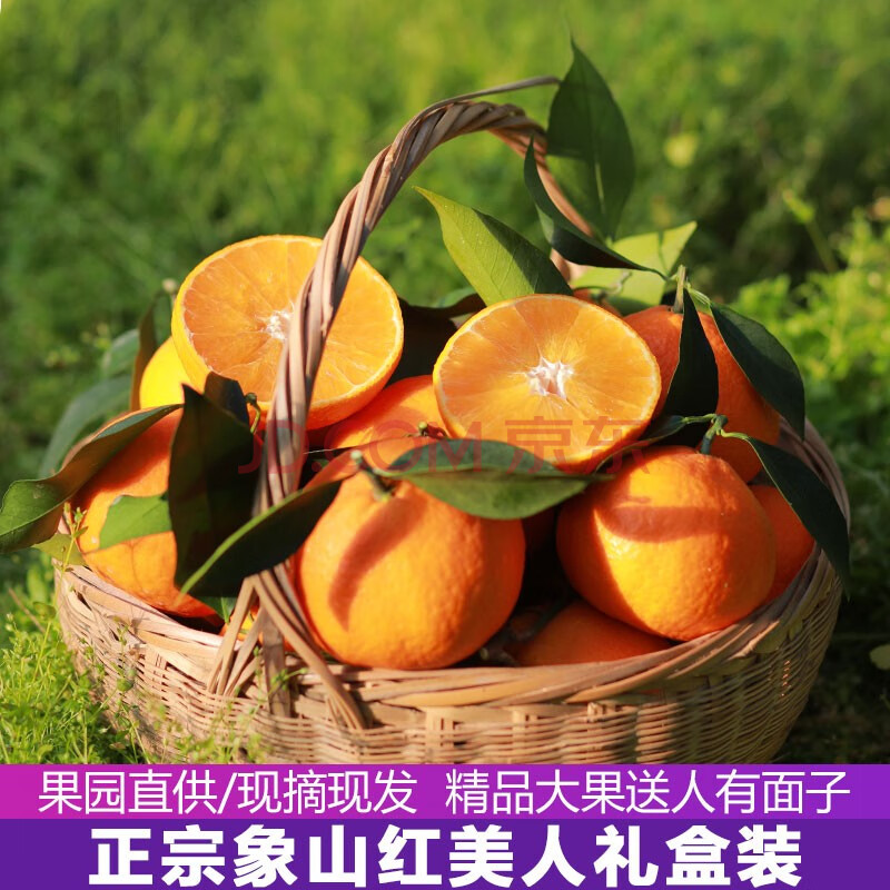 正宗宁波象山红美人柑橘5斤装爱媛28号果冻橙子新鲜水果蜜桔橘子整箱
