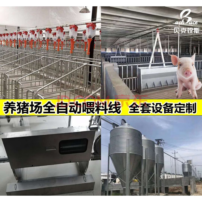 养猪场自动喂料机猪用全自动上料机猪圈养殖料线养猪设备喂料 赛盘