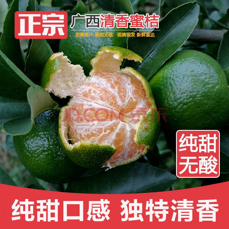 广西清香蜜桔 巴西柑 青香桔 青皮蜜桔 沙糖桔 薄皮蜜橘 5斤 精选大果