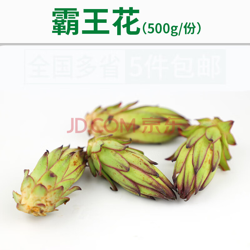 新鲜霸王花500g 三斤火龙果花苞菜烧汤煲汤特色食材 1500g