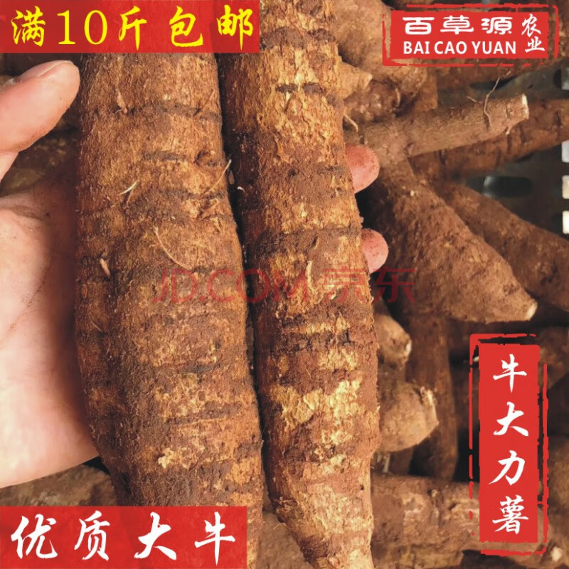 新鲜牛大力薯大牛500g野生鲜大薯煲汤牛古大力金钟根泡酒料伊梵麦