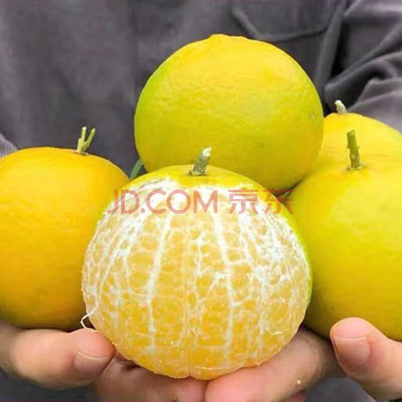 【精选s级】广西正宗皇帝柑皮薄纯甜皮薄贡柑应季新鲜水果 精选装