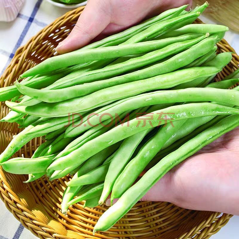 云南新鲜四季豆无筋豆整箱无丝豆角新鲜蔬菜2/3/5斤 5