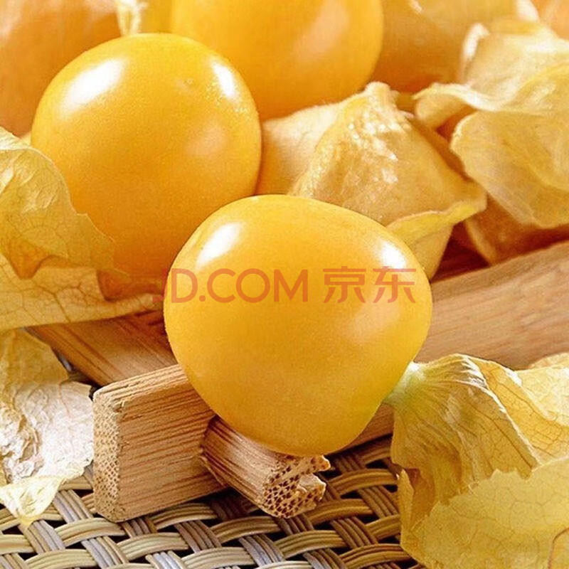9】佳硕东北姑娘果灯笼果新鲜水果5斤精选大果现摘现发 姑娘果精选5斤