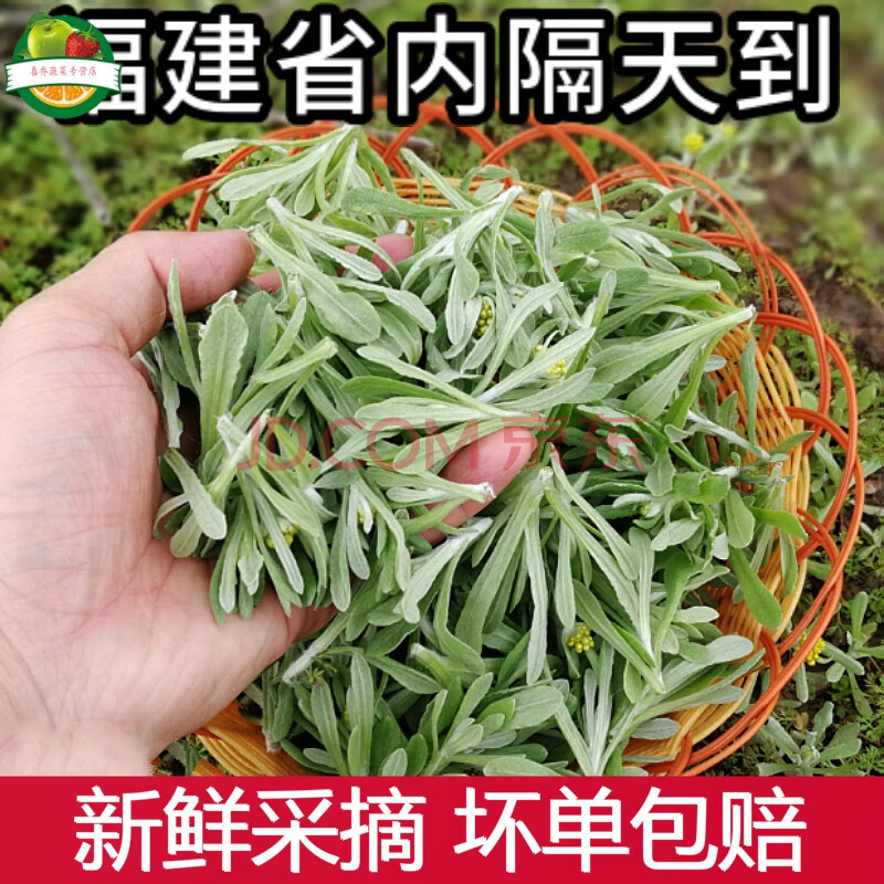 鼠曲草新鲜清明草田艾棉菜佛耳草绒毛草黄蒿水曲艾叶鼠耳草 2500g