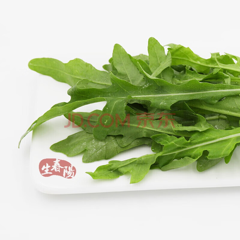 新鲜芝麻菜 250g arugula 西餐色拉菜沙拉 德国芥菜火箭菜新鲜蔬菜