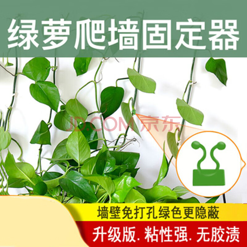骋达 绿植固定器绿萝爬墙定型挂钩藤蔓攀爬卡扣家用无痕植物爬藤架