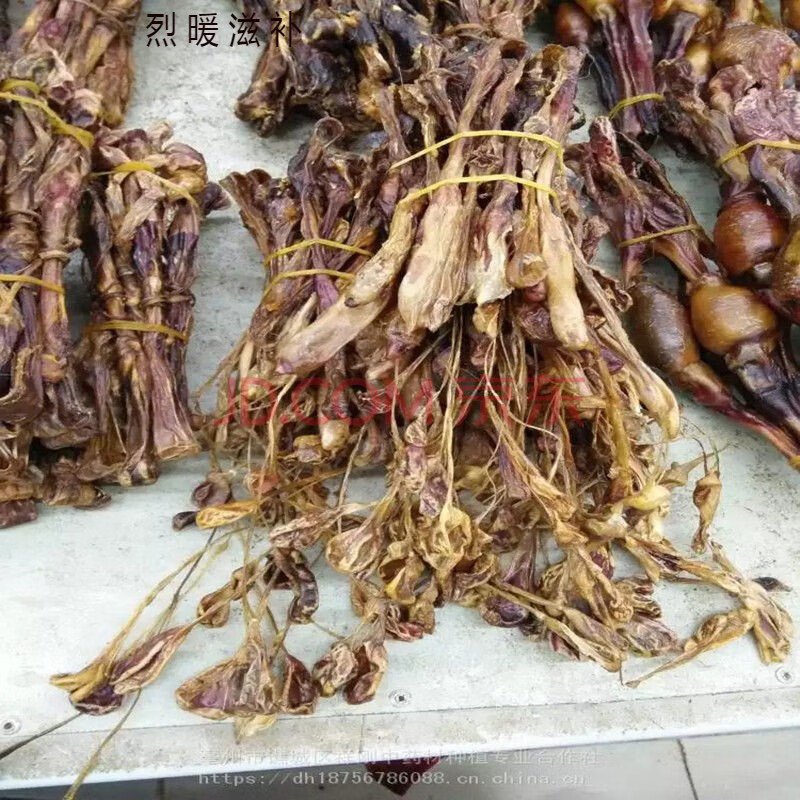 羊蛋 正宗干羊蛋羊宝羊睾丸中药材羊肾羊腰子男性滋补