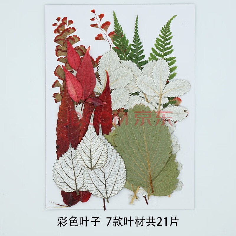 干花diy材料压花材料包押花书签真树叶植物标本手机壳手工贴脸妆