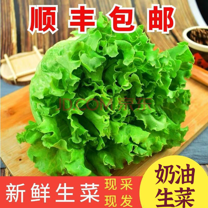 【顺丰速发】生菜意大利奶油生菜新鲜青菜火锅涮菜生吃沙拉菜当季蔬菜