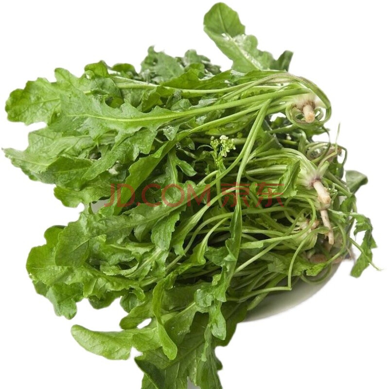 野生荠菜新鲜荠荠菜地丁菜北方当季野菜 1500g
