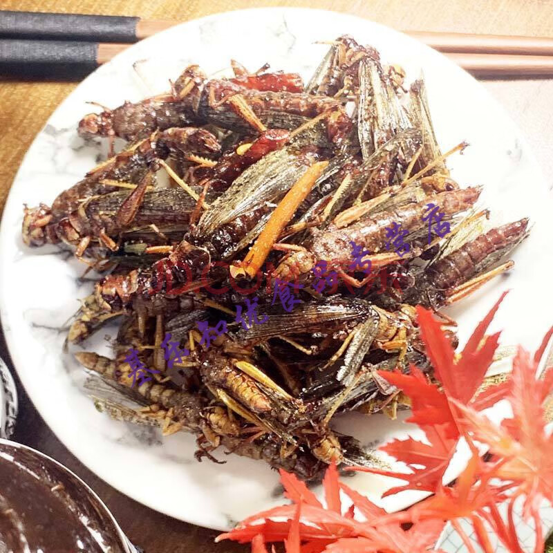 炸蝗虫油炸蚂蚱即食昆虫活体蚱蜢虫子美食高蛋白小吃 椒盐味100克/份