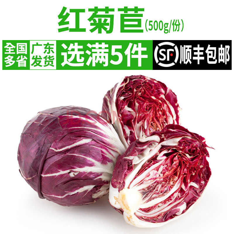 新鲜落地球生菜紫苣红菊苣绿叶红包菜西餐食材沙拉蔬菜新鲜球生菜 250