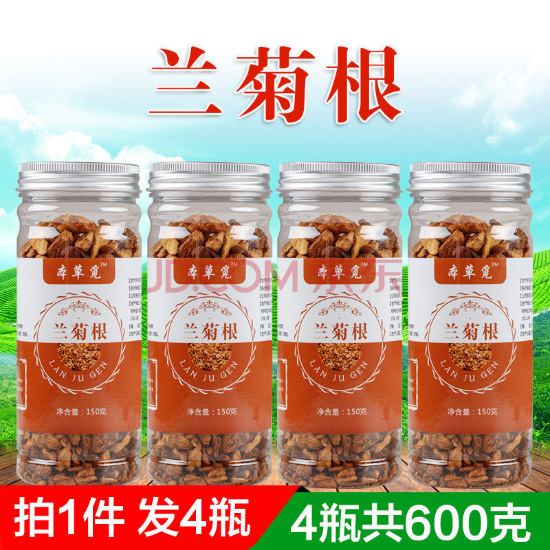 金兰菊根茶苦兰菊根茶蓝菊根 金玉兰根茶菊苣根跟 兰菊根4份