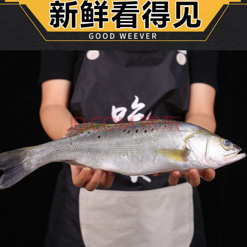 海捕新鲜大鲈鱼鲜活花鲈鱼寨花鱼鲈板鱼鲈鱼海鱼冰鲜生鲜海鲜水产 腾