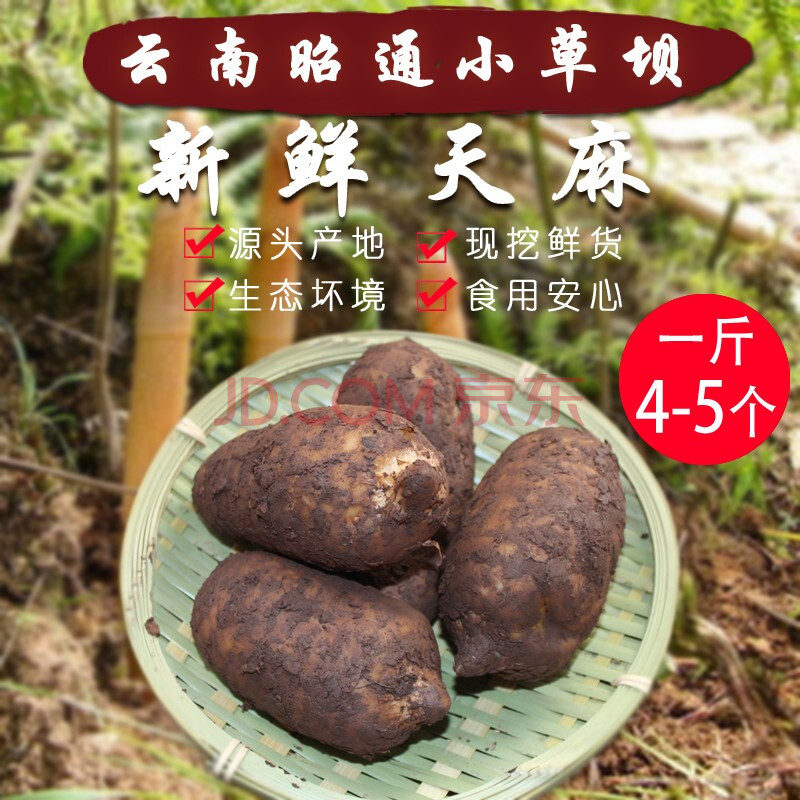 臻珍堂 新鲜天麻云南昭通小草坝生天麻 新鲜天麻500g