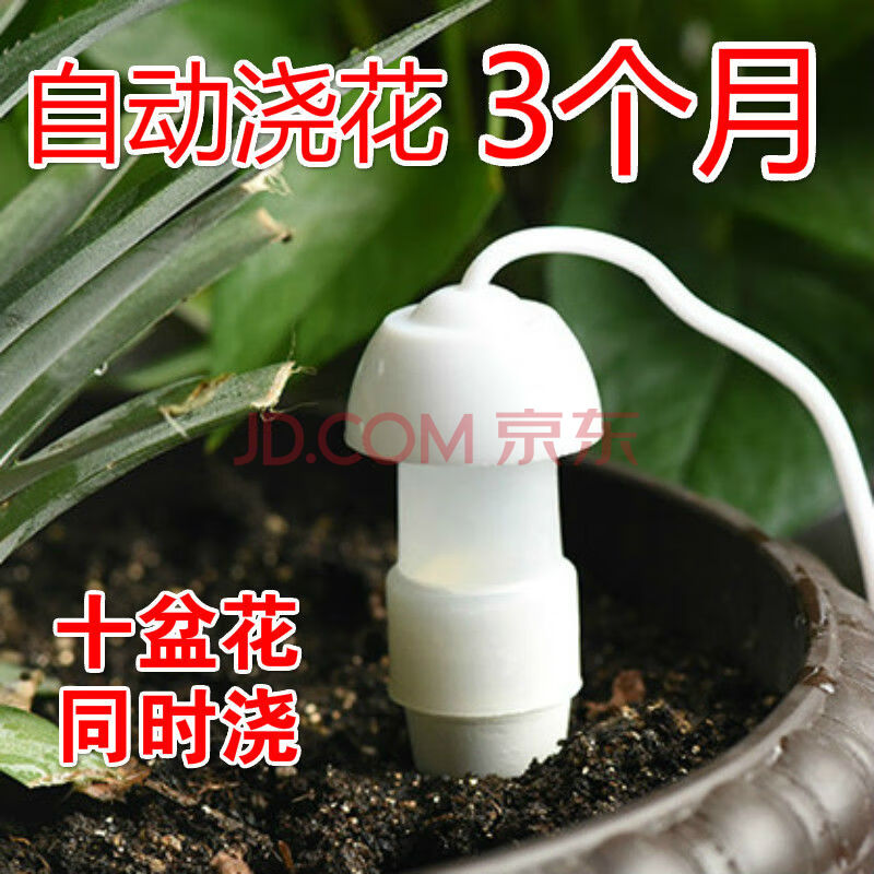 aseblarm浇花神器假期出差自动浇水器家用滴灌浇花器滴水器懒人盆栽