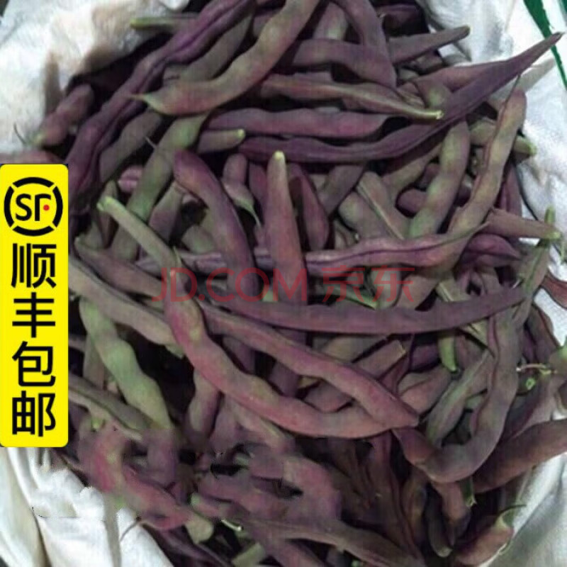 东北辽宁大紫袍豆角新鲜蔬菜芸豆冻死鬼紫豆角红豆角2