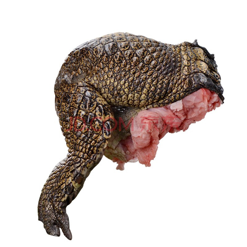 良知农哥 顺丰空运 新鲜鳄鱼肉 鳄鱼掌整只约2kg