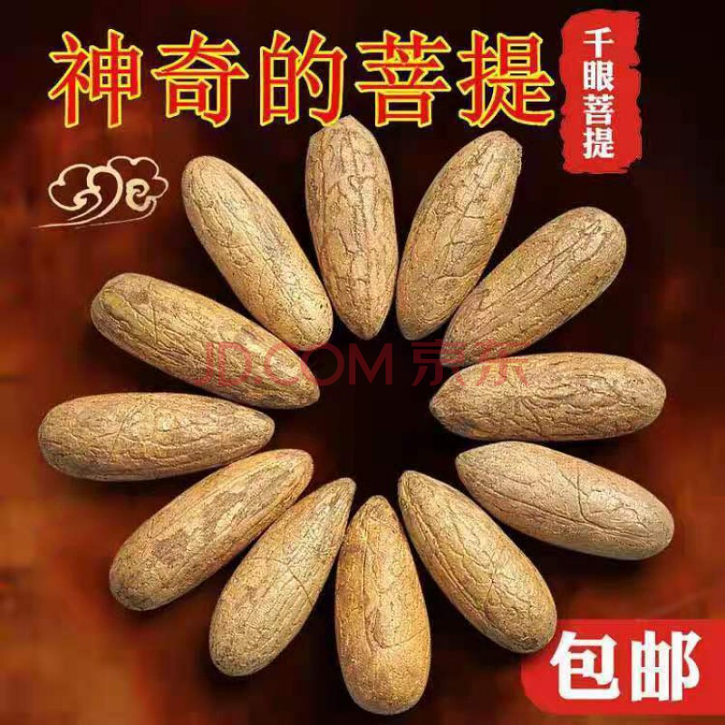 千眼菩提子原籽原料菩提籽红绿果金刚手串手把件佛心果 千眼菩提20个