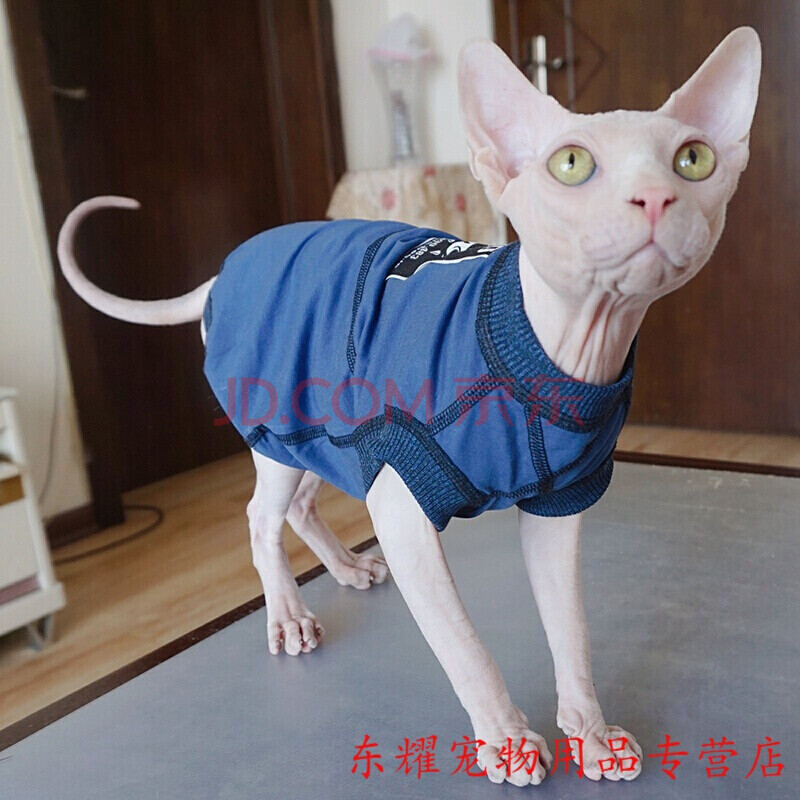 无骨工艺里外无缝无毛猫衣服斯芬克斯德文柯尼斯阿比喵春夏线 深蓝色