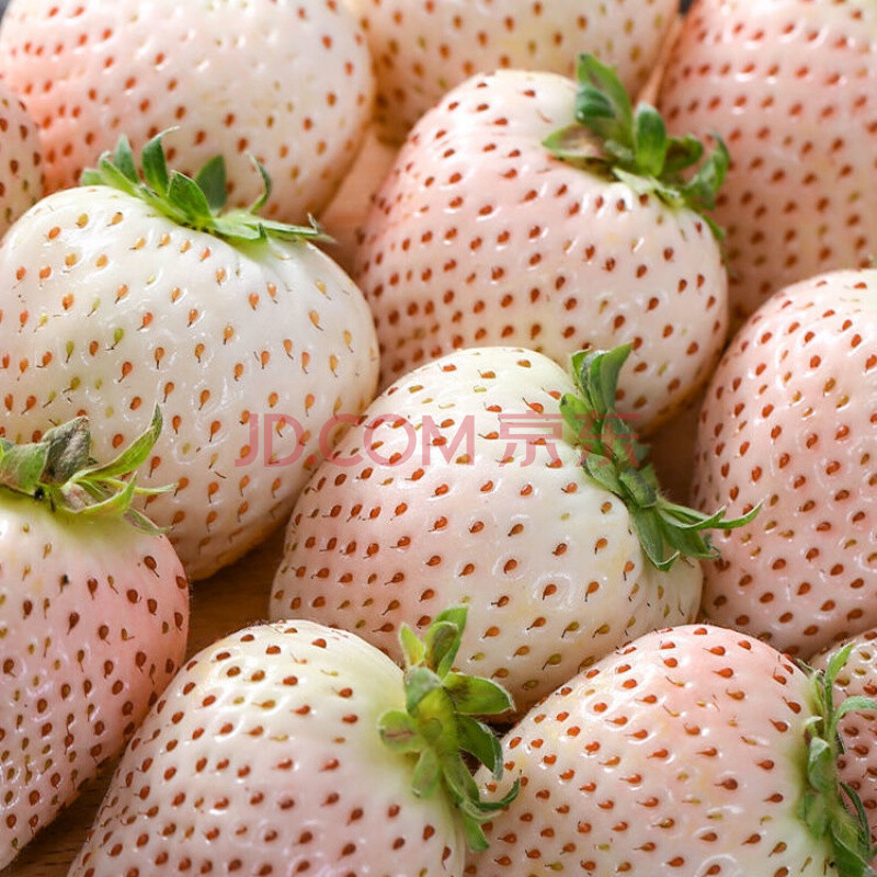 莲黛【淡雪白草莓】白雪公主礼盒牛奶奶油新鲜孕妇当季水果 淡雪草莓