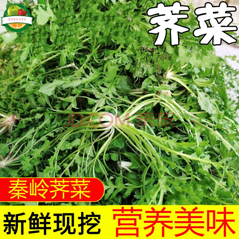 新鲜现挖荠荠菜蔬菜扁锅铲菜地丁菜靡草地米菜饺子馅 1000g