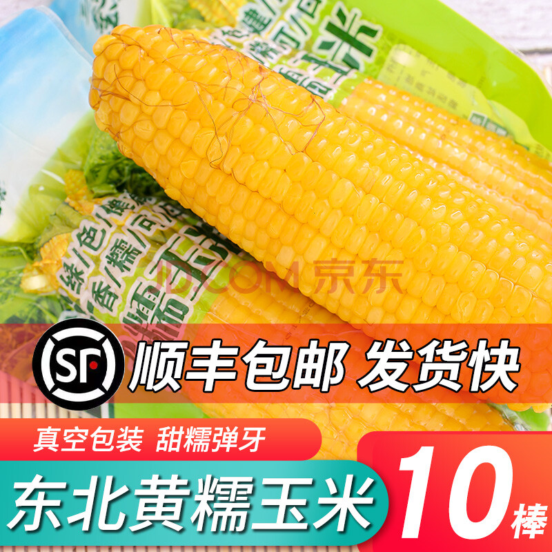 特产新鲜甜糯玉米棒黏嫩苞米棒10棒 粗粮早餐 单根220-260g 真空包装