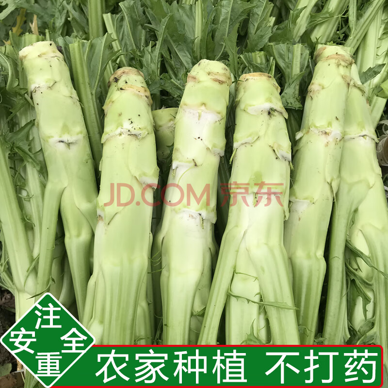 棒菜四川棒棒青菜新鲜芥菜青菜苔头头菜脑壳菜菜头泡青菜蔬菜 1500g