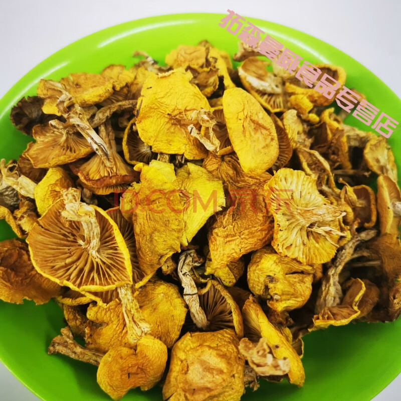 东北蘑菇阿尔山小黄蘑草蘑菇落叶松蘑菇真正的山珍 250克