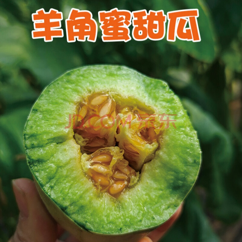 水果 瓜 柏馋 山东正宗羊角蜜甜瓜新鲜一级果博洋61号牛角蜜瓜网红