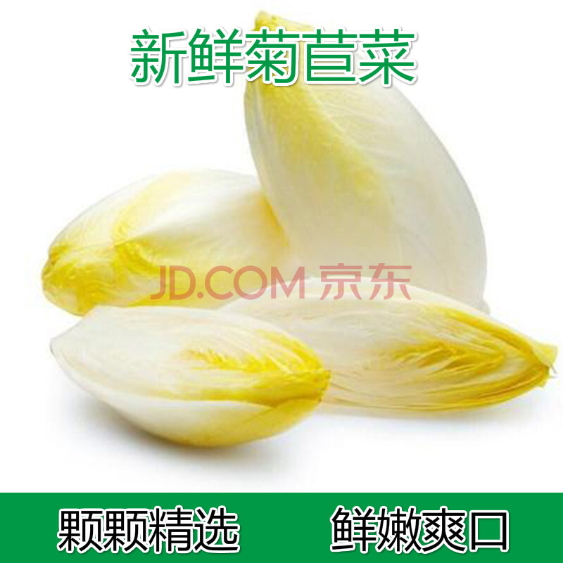 芽球菊苣菜新鲜蔬菜可做沙拉碱性食物菊苣菜新鲜直达可凉拌可炒食