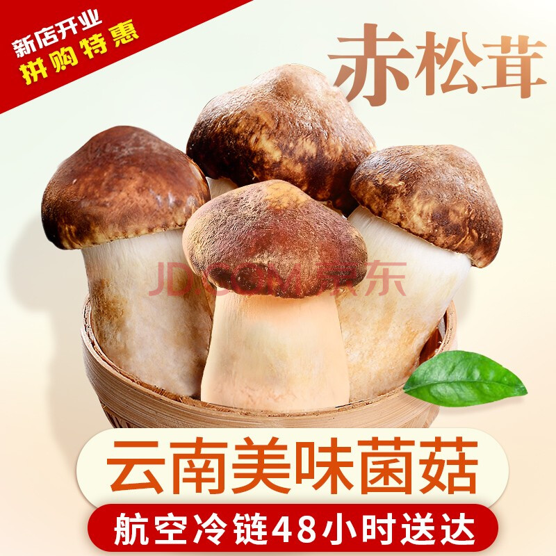 赤松茸新鲜现摘 云南姬松茸蘑菇煲汤食材 新鲜松茸菌