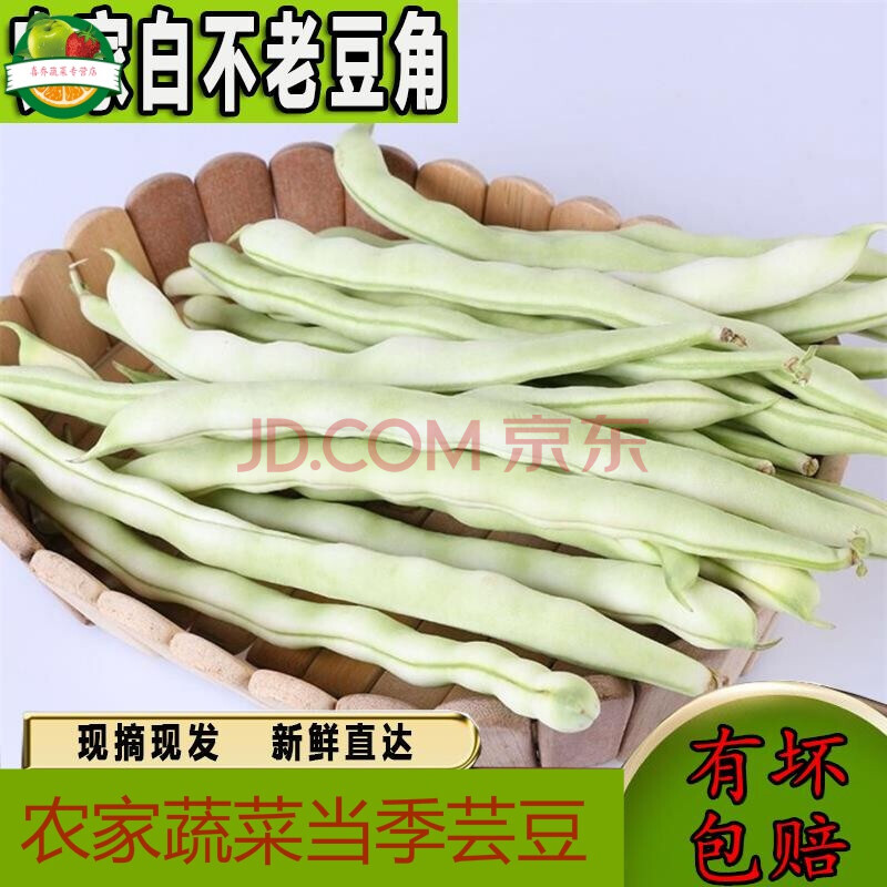 【保温箱冷链运输】农家新鲜蔬菜 东北白豆角 四季豆 辽宁现摘芸豆 白