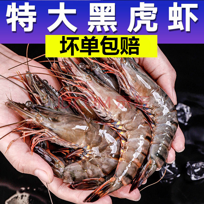 黑虎虾 海捕大虾特大对虾草虾九节虾基围虾斑节虾 特大黑虎虾2盒装
