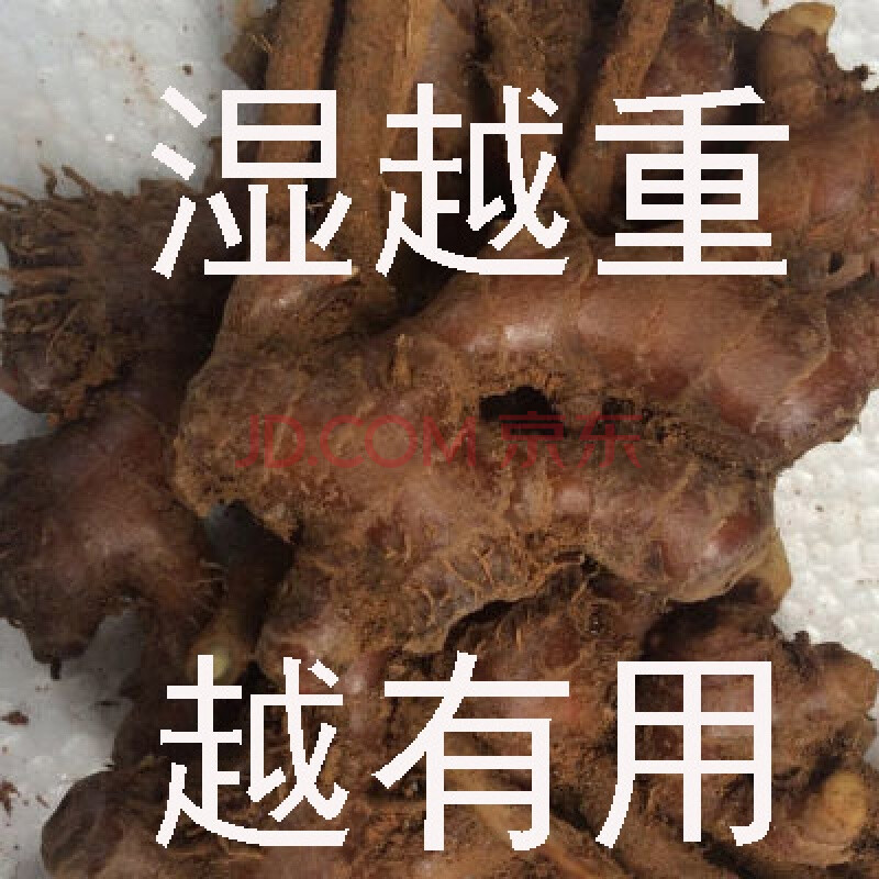 新鲜风姜 高凉姜月子姜月婆姜 香姜 宫寒中风调理 250g