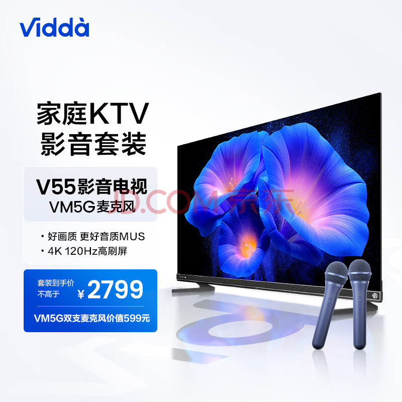 Vidda海信 55V5K+VM5G-T麦克风 家庭KTV娱乐体验套装 杜比音画 天籁K歌 专属电视K歌定制