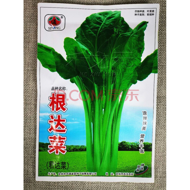 花姬绿根达菜种子君达菜青菜籽野菜种子蔬菜春夏秋劈菜种籽四季秋冬季