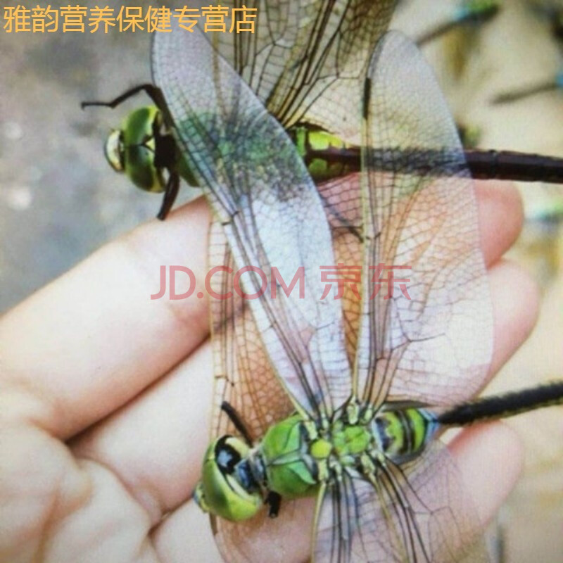 中药材蜻蜓绿蜻蜓十只装绿色大蜻蜓干 蜻蛉 马大头青娘子整只 100克