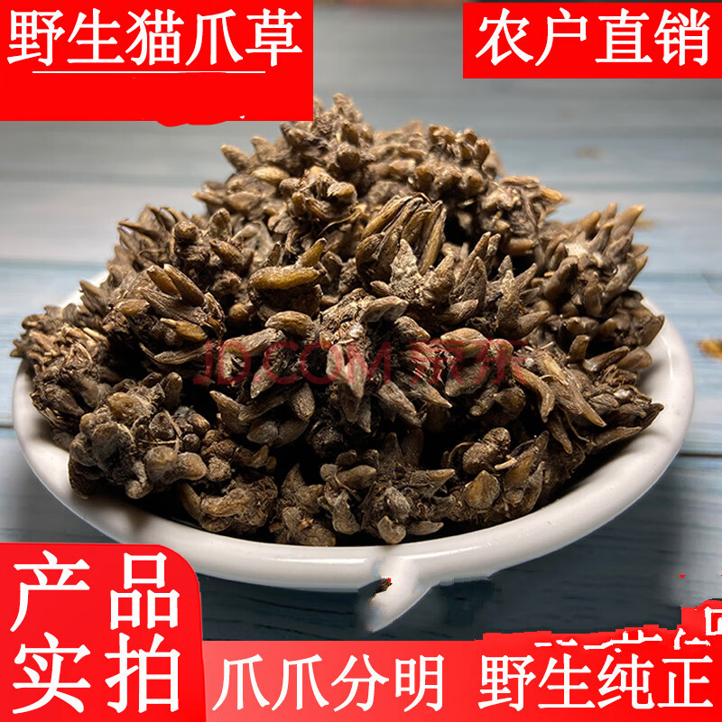 康中尊 野生猫爪草水洗干货新货猫抓草新鲜500g