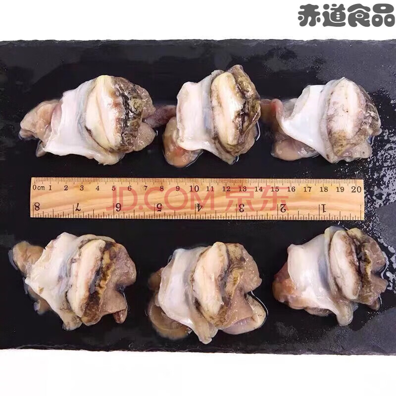 丹东特产海螺肉 鲜活剥肉 鲜海螺头去内脏大海螺片新鲜海螺 4袋