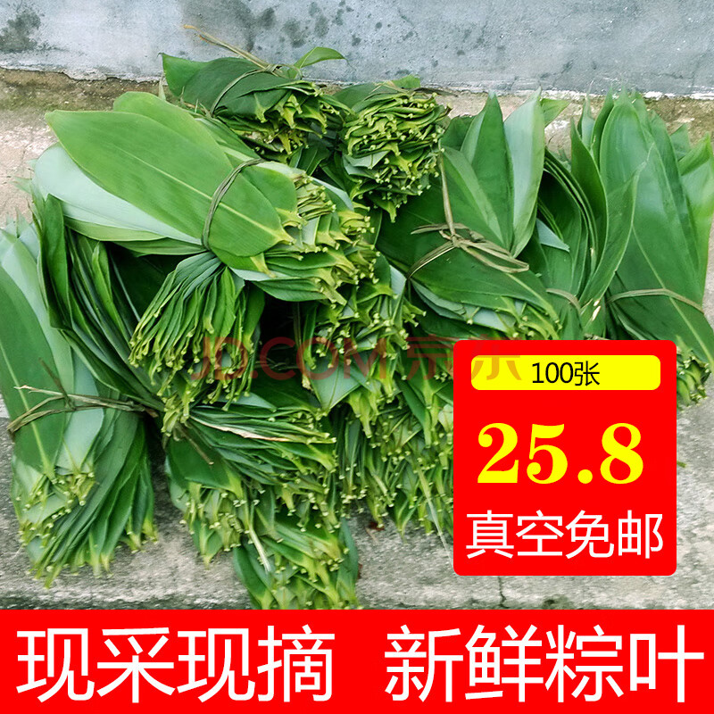 粽叶新鲜棕子叶新鲜粽叶野生鲜粽叶新鲜大粽叶特大粽叶