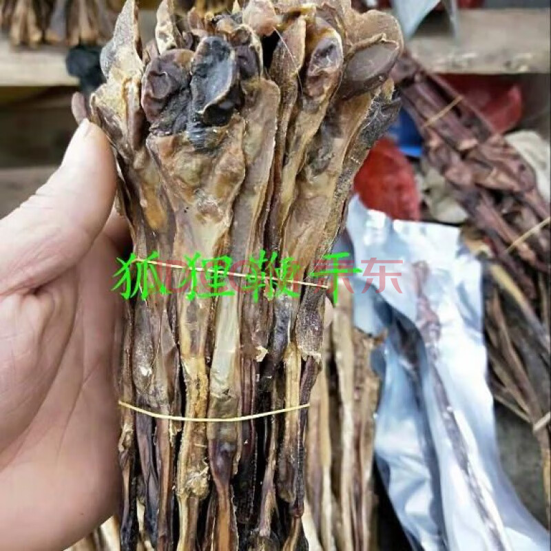 狐狸鞭泡酒材料男性整条 2条