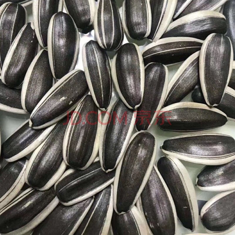 生瓜子葵花籽新货内蒙古原味瓜子葵瓜子香瓜子新鲜散装批发1斤5斤 (大