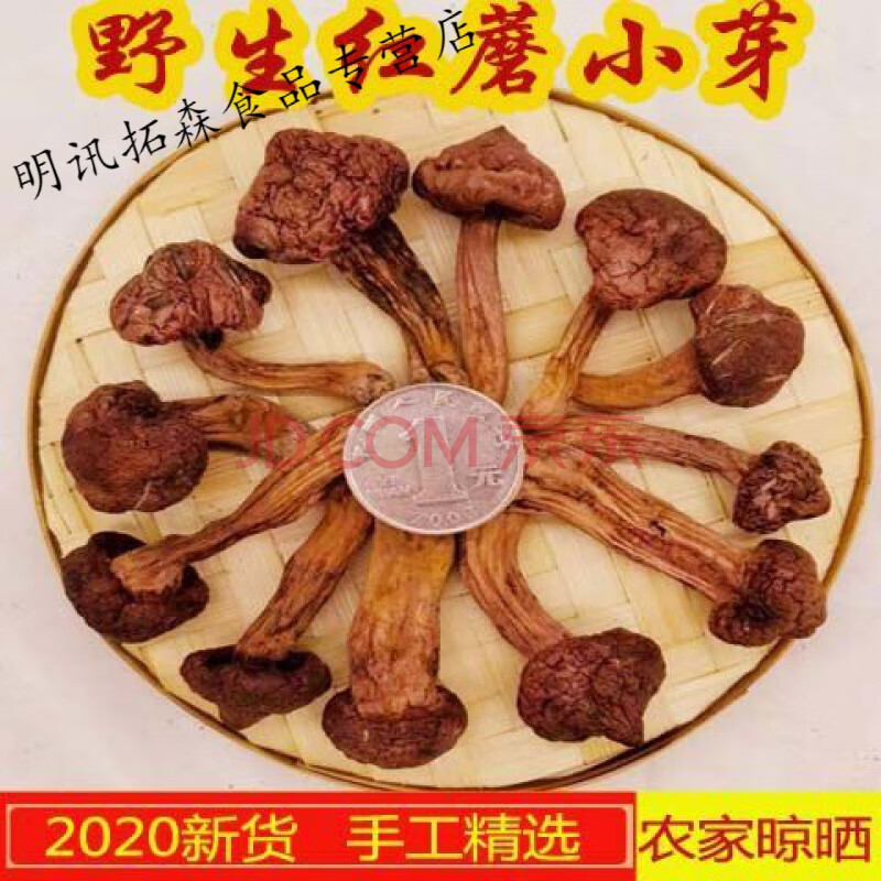 东北野松树伞蘑菇红肉蘑菇红松蘑松菇土特产山货丹东干货香菇500