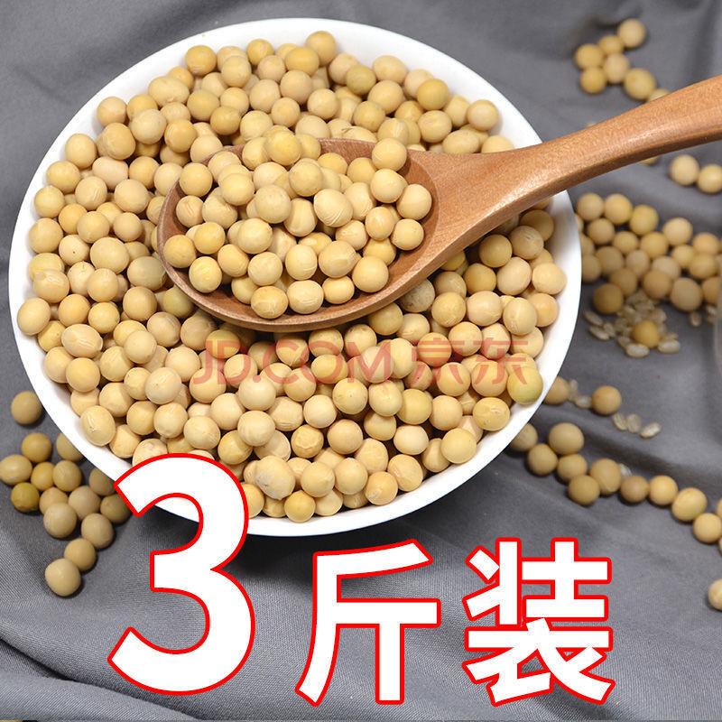 新鲜东北笨土黄豆2斤散装农家大豆子豆浆生豆芽小粒5斤 3斤装