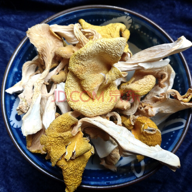 鸡油菌鸡油菇干货云南特产黄丝菌菌菇煲汤食材野生菌500